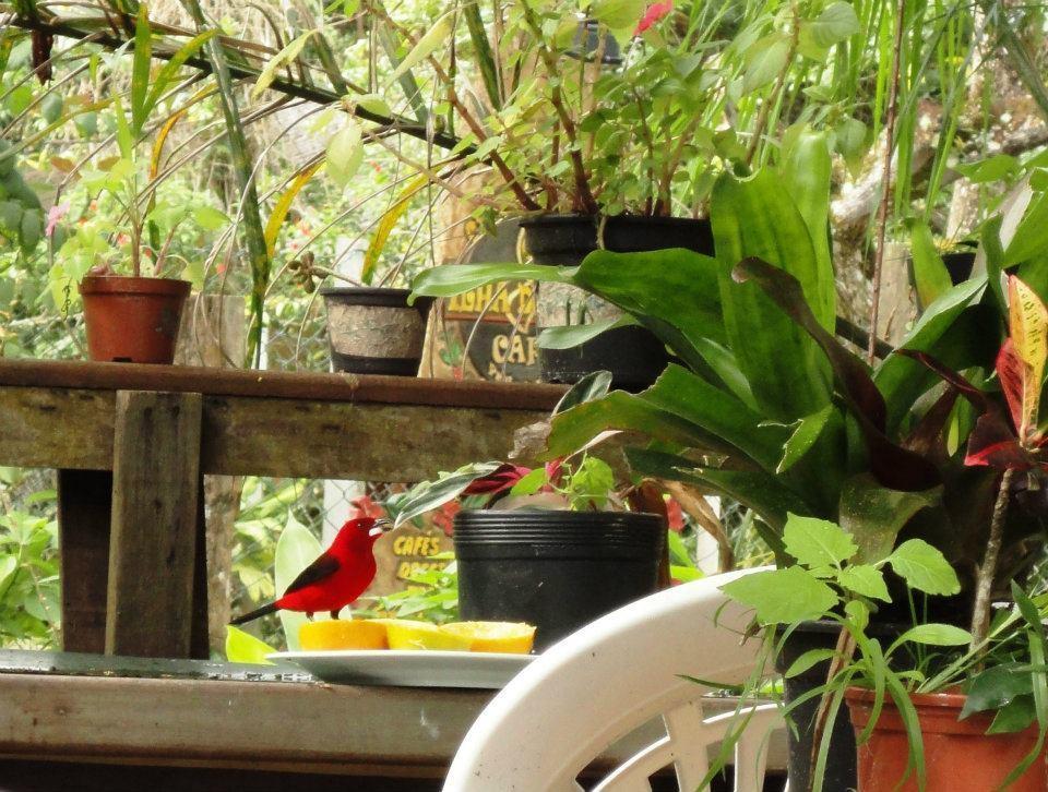 Pousada Beehouse Paranaguá Kültér fotó